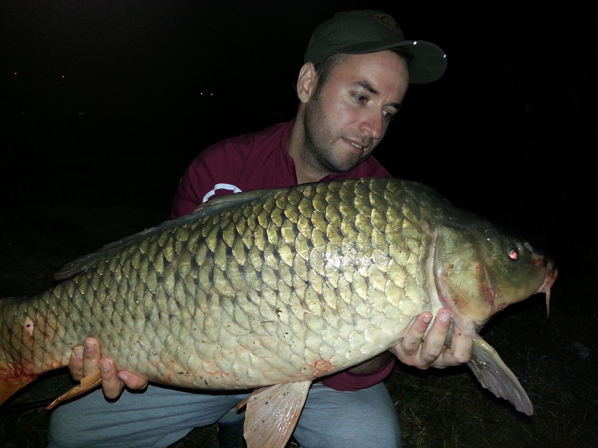 hermes peris 12.09.2014 - 11.400